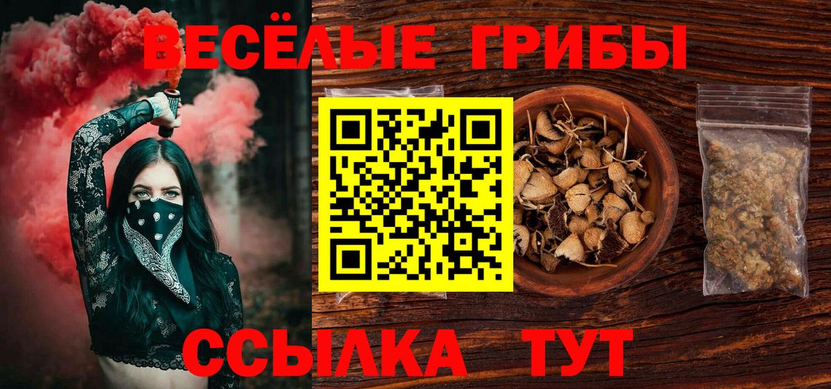 Прохладный  Галлюциногенные грибы прущие грибы  Вход с VPN 