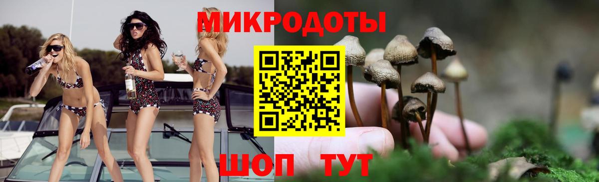 Псилоцибиновые грибы мицелий Прохладный