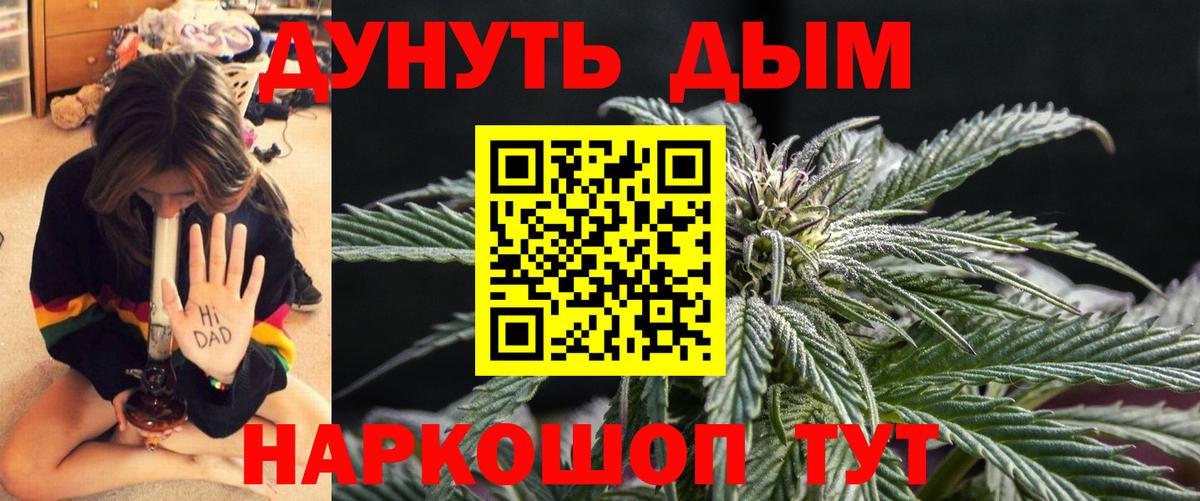 Бошки марихуана гибрид Прохладный